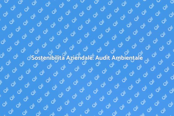 Audit Ambientale: Un Passo Verso la Sostenibilità