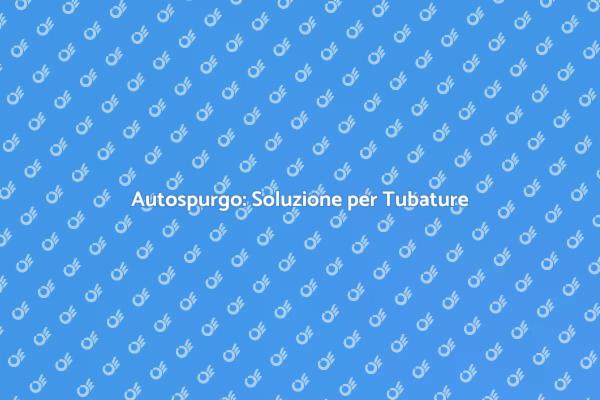Autospurgo: La Chiave per la Tua Casa