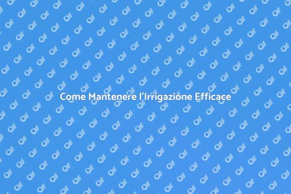 Manutenzione Efficiente dell'Irrigazione