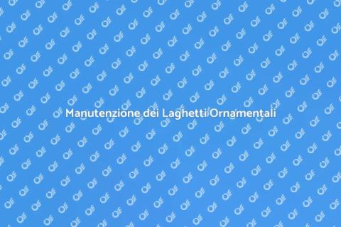 Pulizia e Manutenzione Laghetti