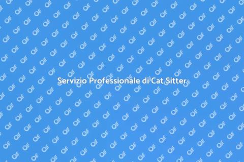 Cat Sitter per Gattini Appena Nati