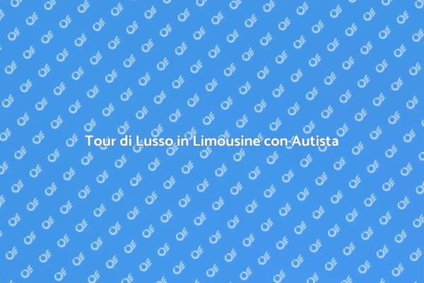 Limousine con Autista: Un Tour di Lusso