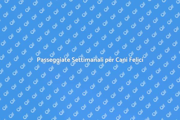 Il Tuo Cane Merita Passeggiate Regolari