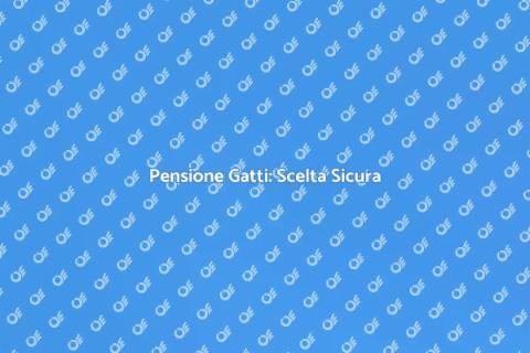 Gatto in Pensione: Guida Pratica