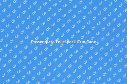 Dog Walking: Passeggiate per il Tuo Fido