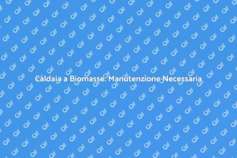 Manutenzione Caldaia a Biomasse Essenziale