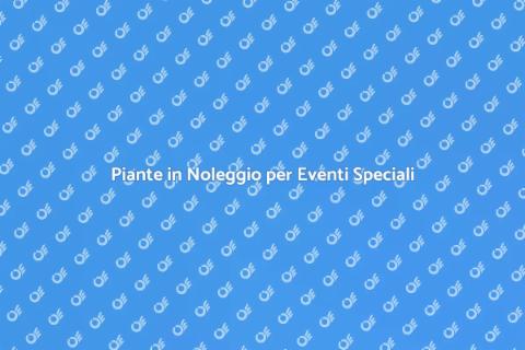 Noleggiare Piante per Eventi Unici