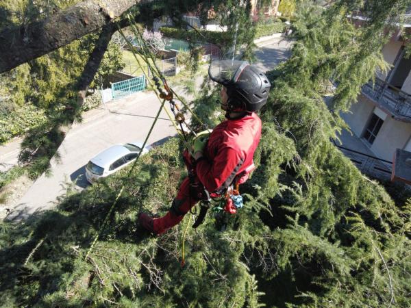 global service srl - Foto 9