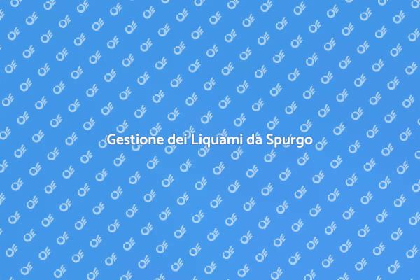 Importanza del Trattamento dei Liquami
