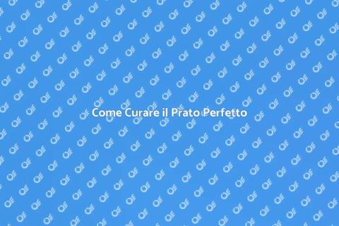 Cura del Prato: Guida Completa