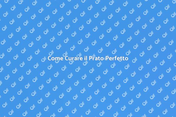 Prato Sano: Consigli e Servizi