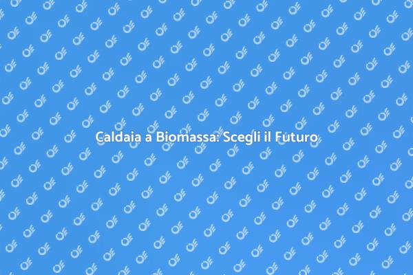 Investi nella Caldaia a Biomassa