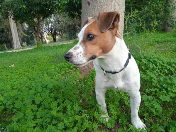 Luana R. - Foto 3