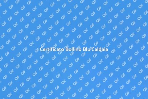 Bollino Blu Caldaia: Guida Essenziale