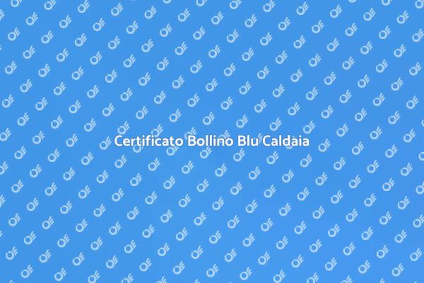 Importanza del Bollino Blu per Caldaie