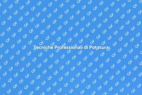 Potare un Arbusto in Modo Professionale