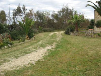 Monte Cadelano  - Foto 5