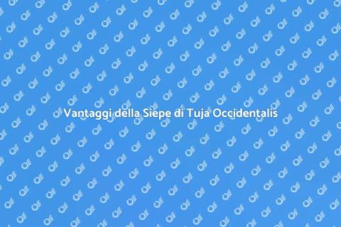 Siepe di Tuja Occidentalis: Vantaggi