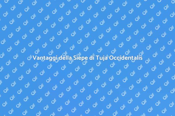 Siepe di Tuja: Privacy e Bellezza