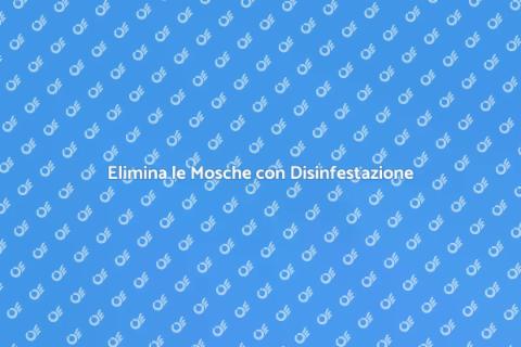 Disinfestazione Periodica per Mosche