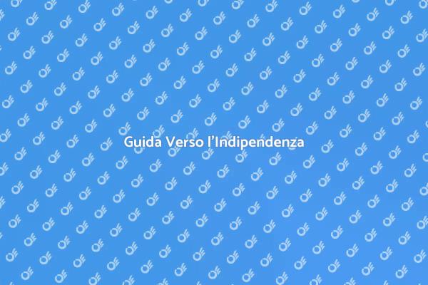 Il Viaggio per la Patente di Guida
