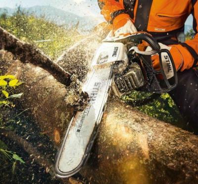 Fratelli Spinazze' - Stihl, Viking  - Foto 6