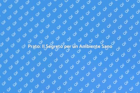 Prato per il Benessere Ambientale