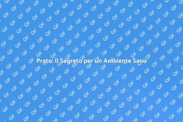 Il Prato: Chiave del Benessere Verde