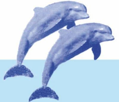 Impresa di Pulizie I Delfini Sas  - Foto 2