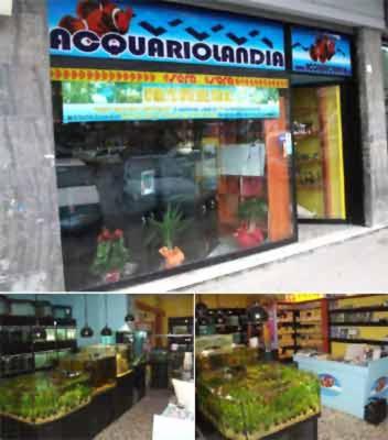 Acquariolandia  - Foto 2