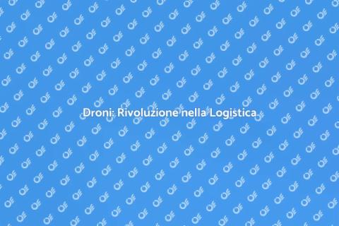 Trasporto e Logistica per Droni