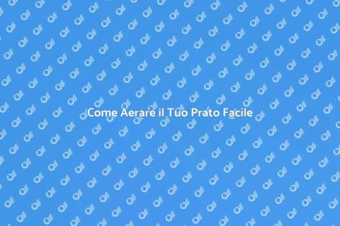 Aerare il Prato Fai Da Te - Guida