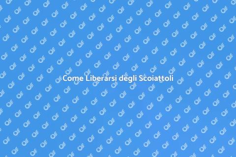 Rimuovere Scoiattoli dalla Soffitta