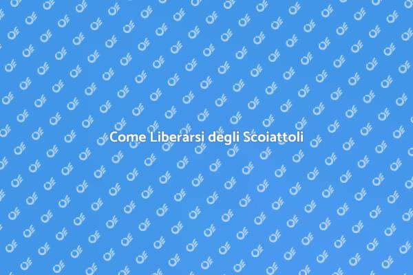 Liberati dagli Scoiattoli in Soffitta