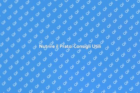 Concimare il Prato: Guida Completa