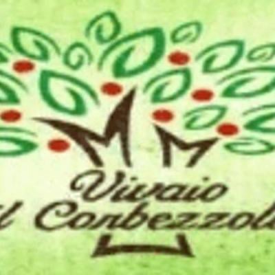 Vivaio Il Corbezzolo