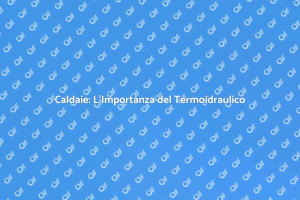 Termoidraulico: Essenziale per Caldaie