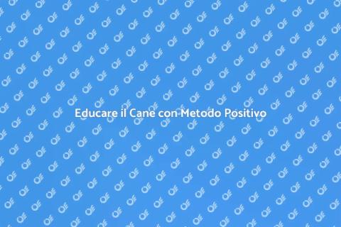 Addestramento Cani: Metodo Positivo