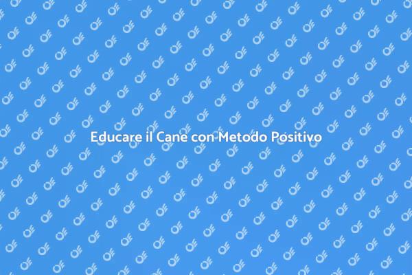 Metodo Positivo per Addestrare il Tuo Cane