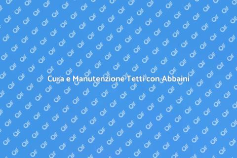 Manutenzione Tetti con Abbaini Essenziale