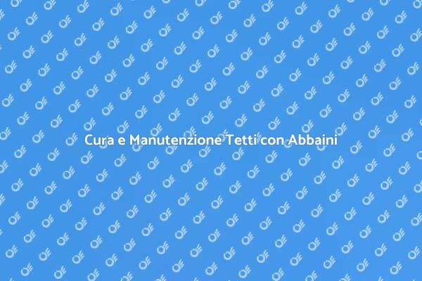 Importanza della Manutenzione dei Tetti