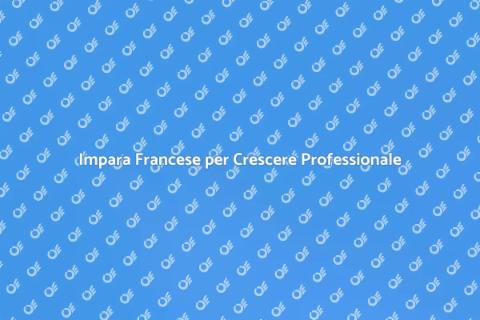 Lezione di Francese per Professionisti