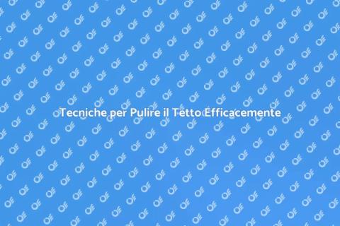 Rimuovere Sporcizia dal Tetto Facile