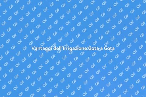 Irrigazione Gota a Gota: Sostenibilità