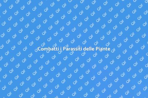 Trattamento contro i parassiti piante