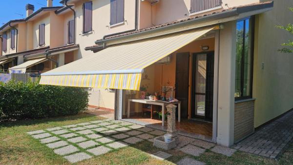 Buciuta E. - Foto 5