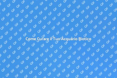 Supporto Tecnico per Acquario Biotico