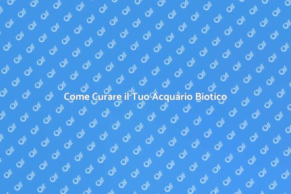 Ottimizza il Tuo Acquario Biotico