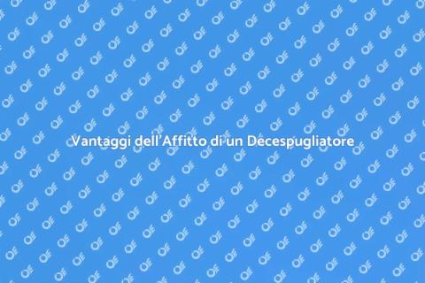 Affittare un Decespugliatore Professionale