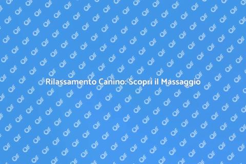 Massaggio per Cani: Rilassamento Totale